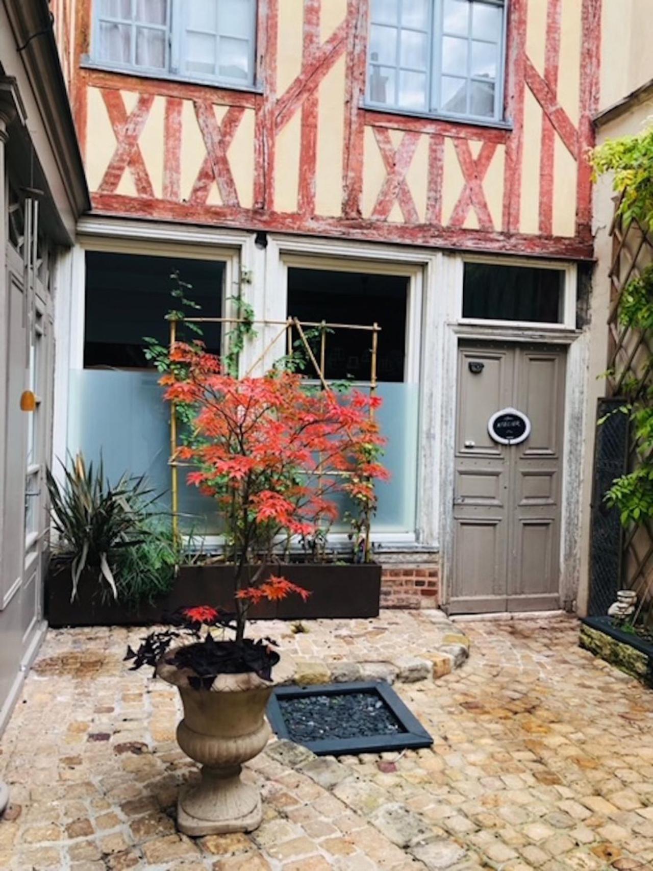 Apartament Atelier Des Glycines, Troyes Bouchon De Champagne, Sublime Site Patrimonial Zewnętrze zdjęcie